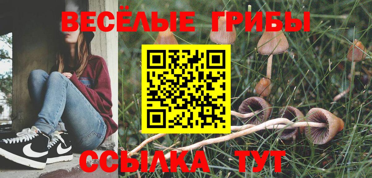 Псилоцибиновые грибы мицелий Кстово
