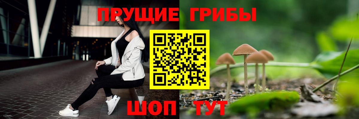 купить наркоту  Псилоцибиновые грибы прущие грибы  Вход с VPN  Кстово 
